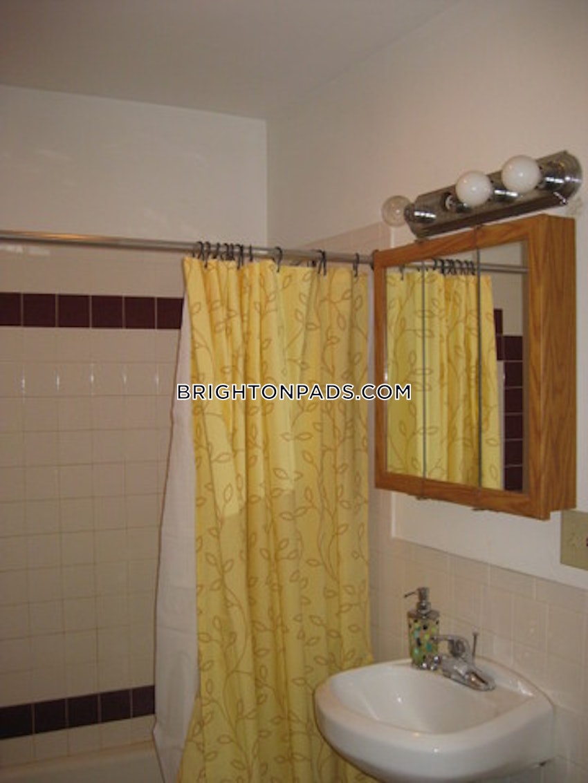 BOSTON - BRIGHTON - CLEVELAND CIRCLE - 5 Beds, 2 Baths - Image 13