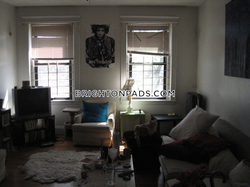 BOSTON - BRIGHTON - CLEVELAND CIRCLE - 4 Beds, 2 Baths - Image 37