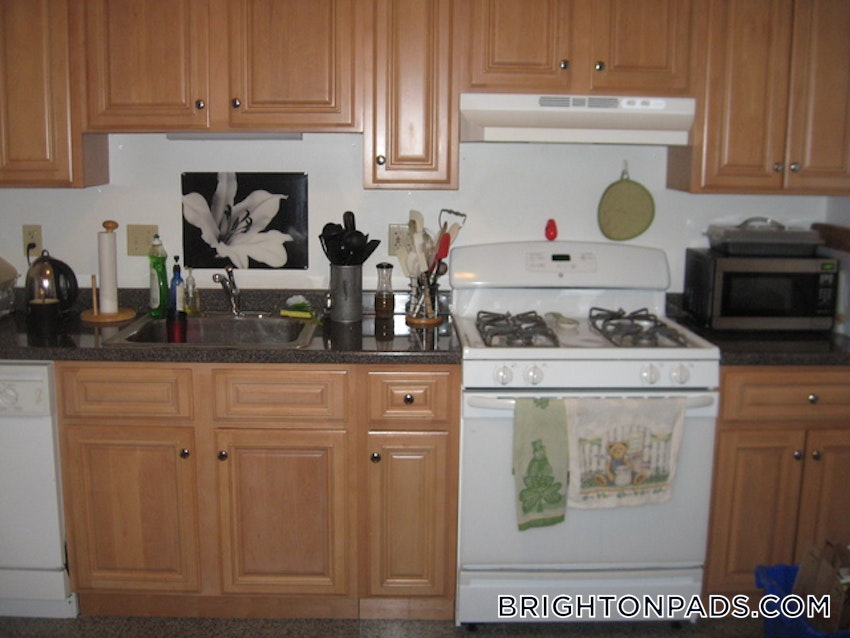 BOSTON - BRIGHTON - CLEVELAND CIRCLE - 4 Beds, 2 Baths - Image 5