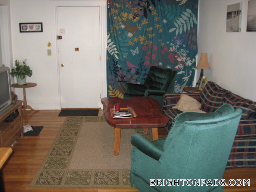 BOSTON - BRIGHTON - CLEVELAND CIRCLE - 4 Beds, 2 Baths - Image 2