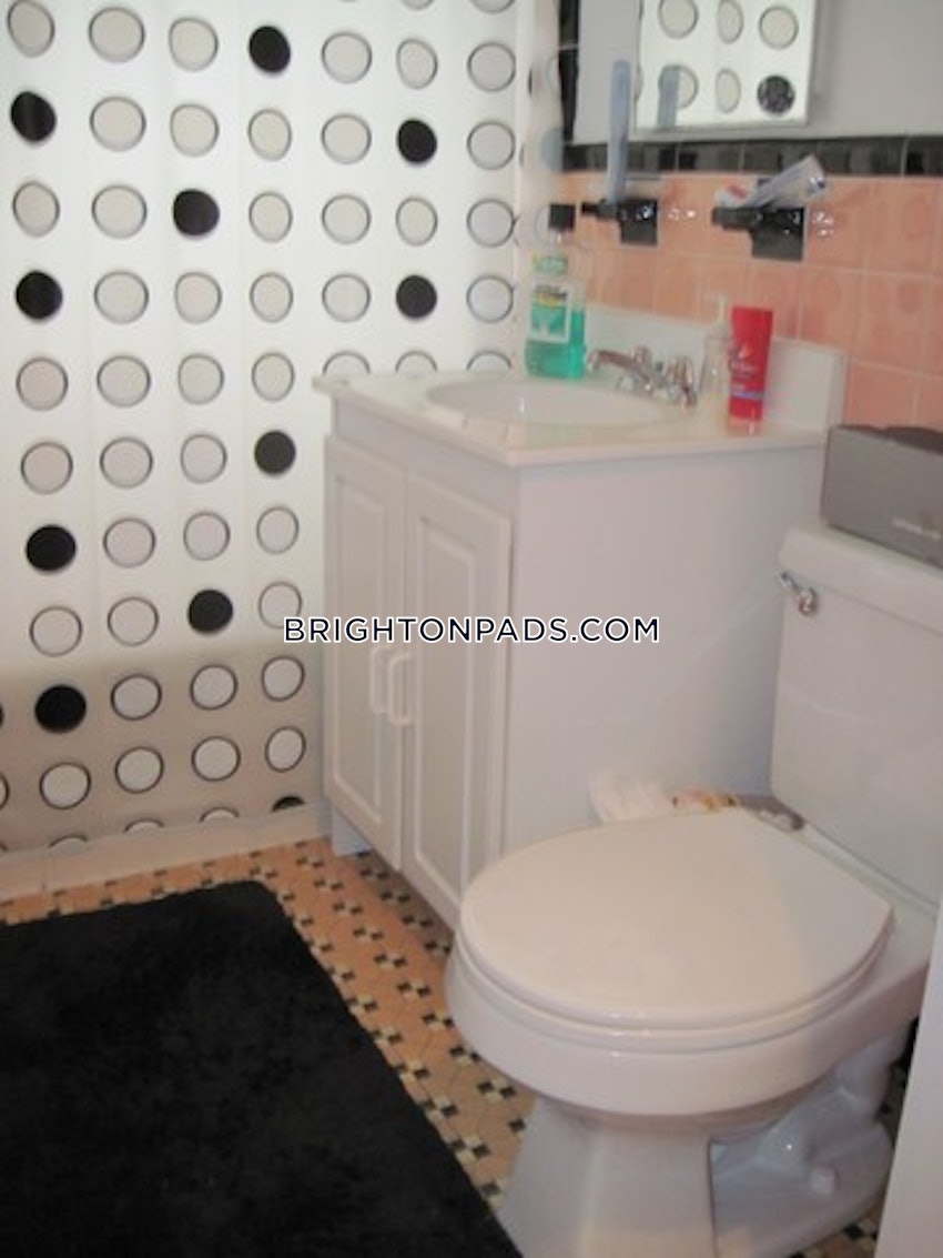 BOSTON - BRIGHTON - CLEVELAND CIRCLE - 1 Bed, 1 Bath - Image 7