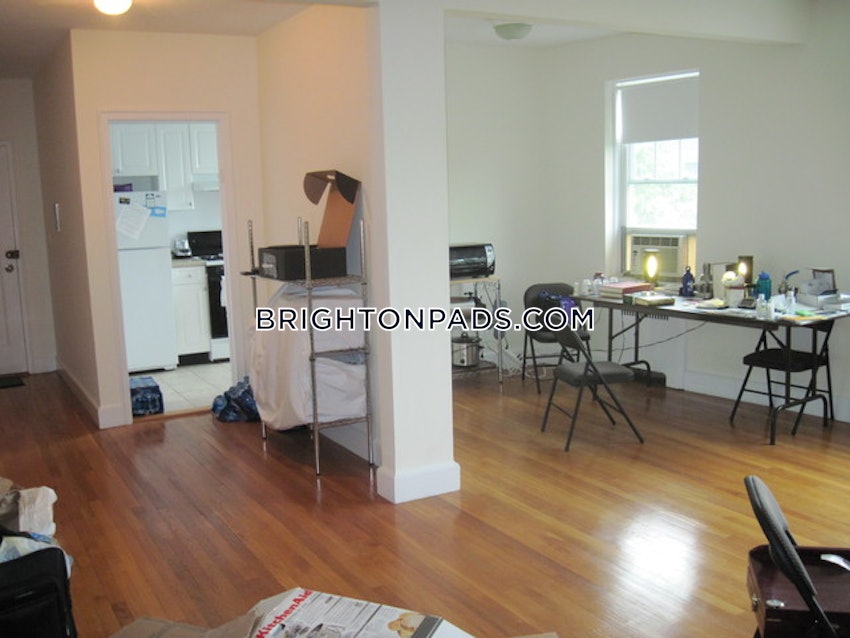 BOSTON - BRIGHTON - CLEVELAND CIRCLE - 1 Bed, 1 Bath - Image 6