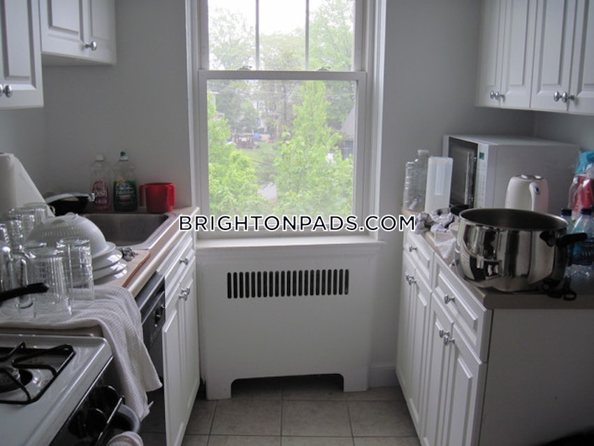 BOSTON - BRIGHTON - CLEVELAND CIRCLE - 1 Bed, 1 Bath - Image 2