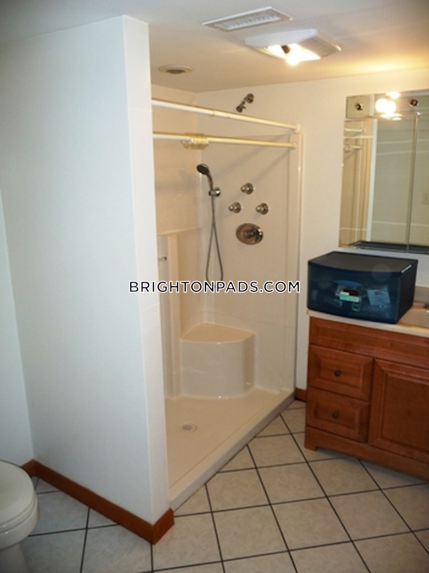 BOSTON - BRIGHTON - CLEVELAND CIRCLE - 4 Beds, 2 Baths - Image 20