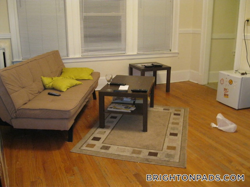 BOSTON - BRIGHTON - CLEVELAND CIRCLE - 4 Beds, 1 Bath - Image 11