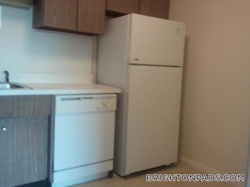 BOSTON - BRIGHTON - CLEVELAND CIRCLE - 2 Beds, 1 Bath - Image 12