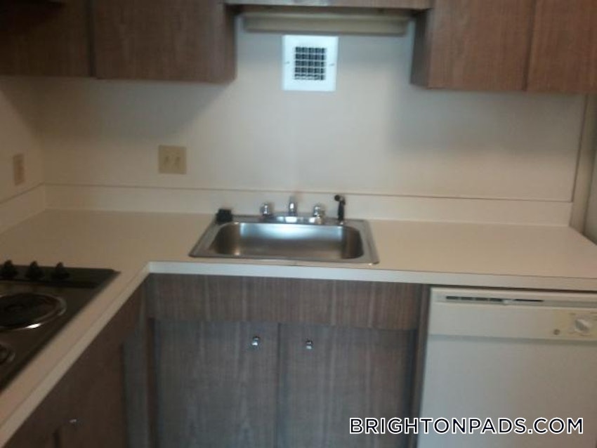 BOSTON - BRIGHTON - CLEVELAND CIRCLE - 2 Beds, 1 Bath - Image 1