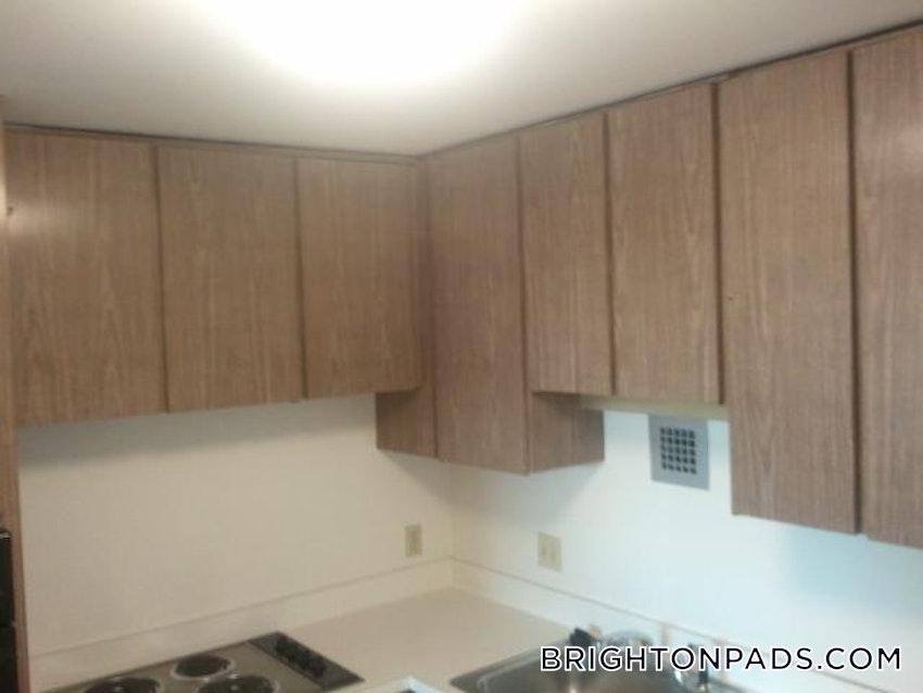 BOSTON - BRIGHTON - CLEVELAND CIRCLE - 2 Beds, 1 Bath - Image 9