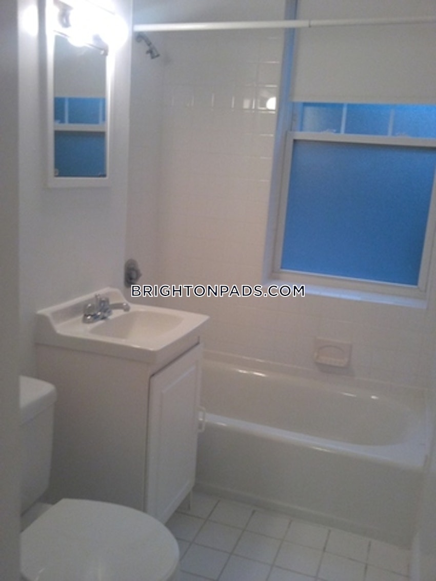 BOSTON - BRIGHTON - CLEVELAND CIRCLE - 1 Bed, 1 Bath - Image 12