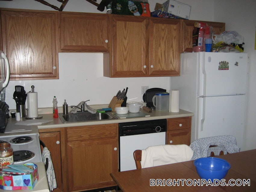 BOSTON - BRIGHTON - BOSTON COLLEGE - 3 Beds, 1 Bath - Image 24