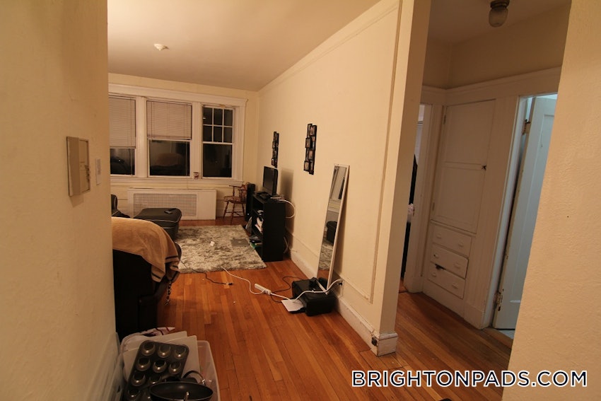 BOSTON - BRIGHTON - BOSTON COLLEGE - 1 Bed, 1 Bath - Image 6