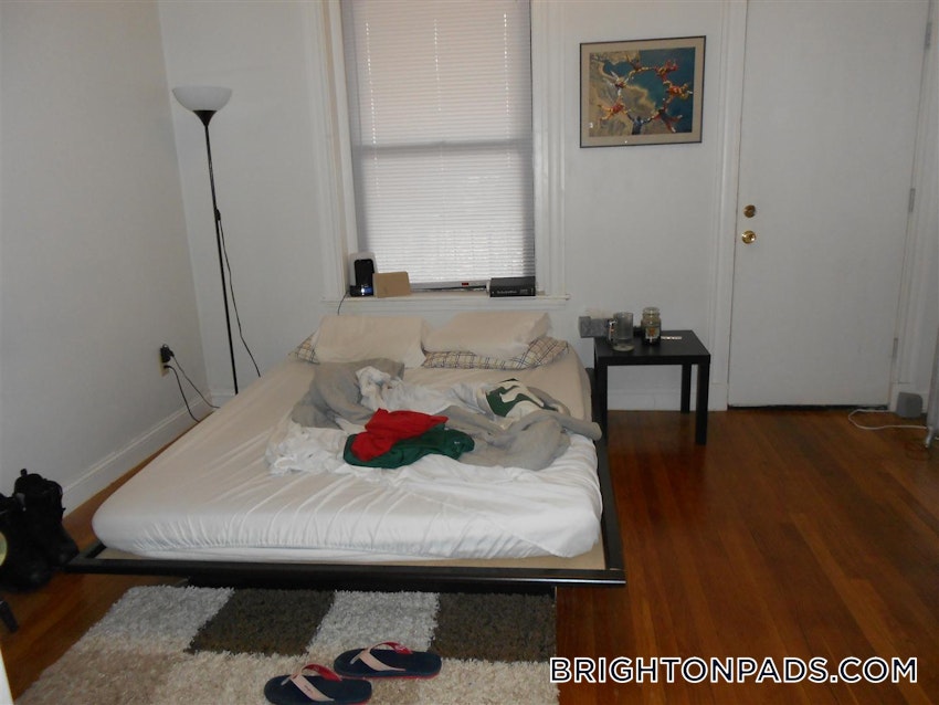 BOSTON - BRIGHTON - CLEVELAND CIRCLE - 4 Beds, 2 Baths - Image 2