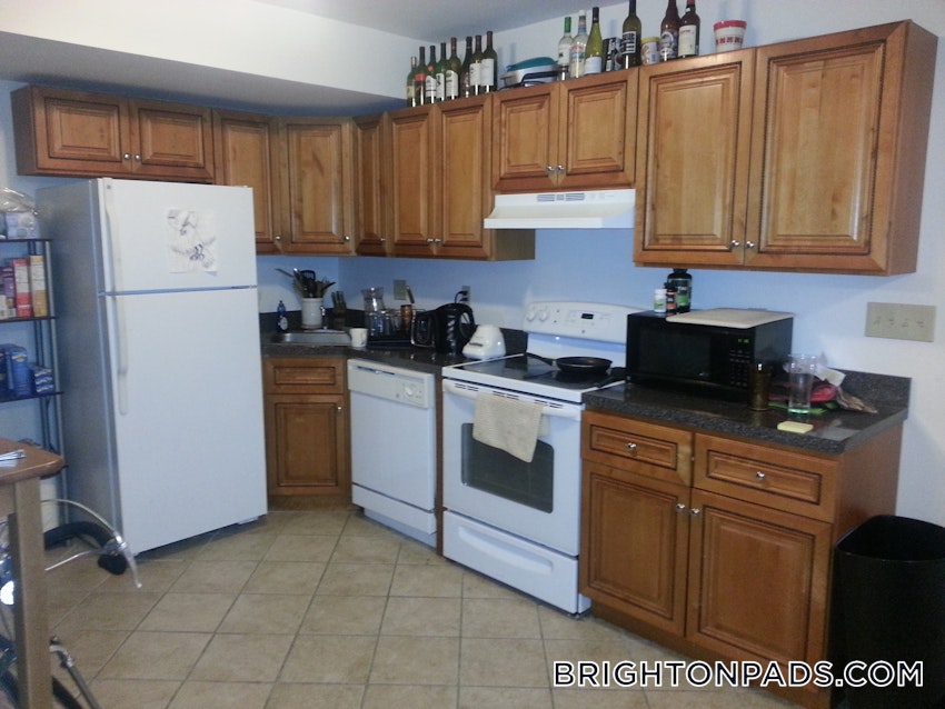 BOSTON - BRIGHTON - CLEVELAND CIRCLE - 3 Beds, 2 Baths - Image 1