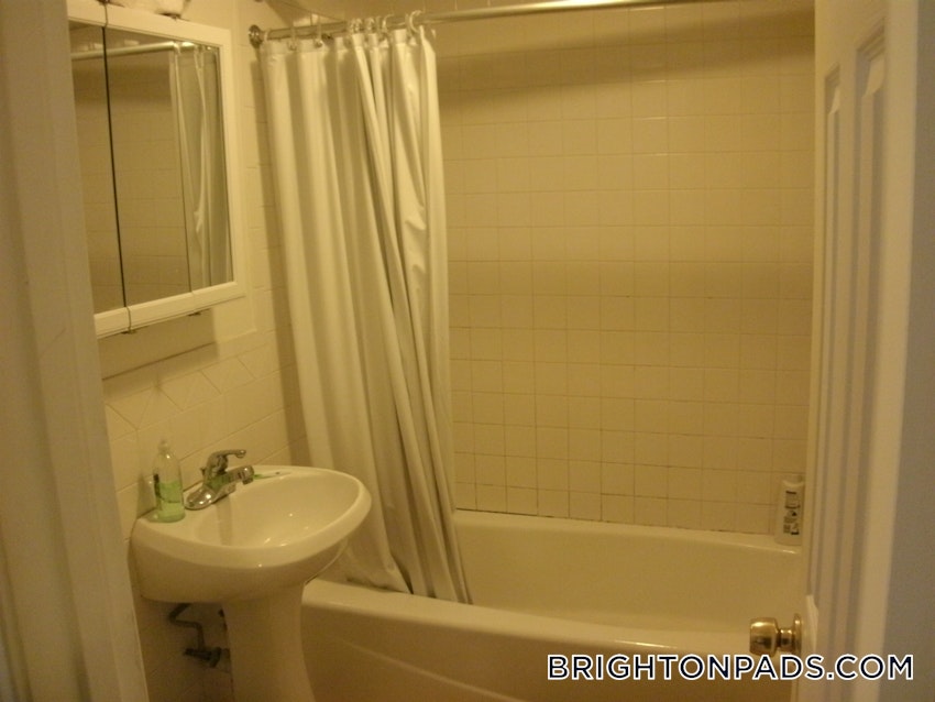 BOSTON - BRIGHTON - CLEVELAND CIRCLE - 3 Beds, 2 Baths - Image 1