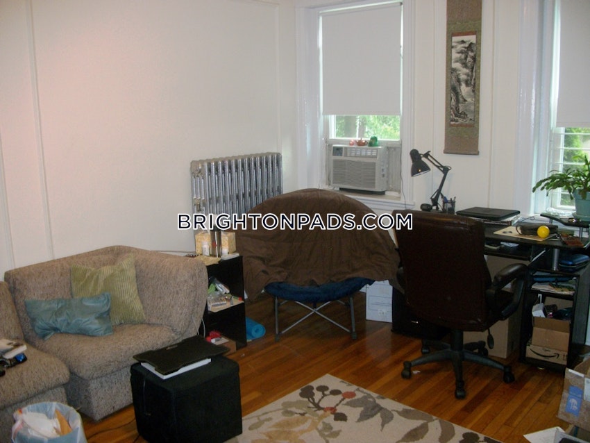 BOSTON - BRIGHTON - CLEVELAND CIRCLE - 1 Bed, 1 Bath - Image 6