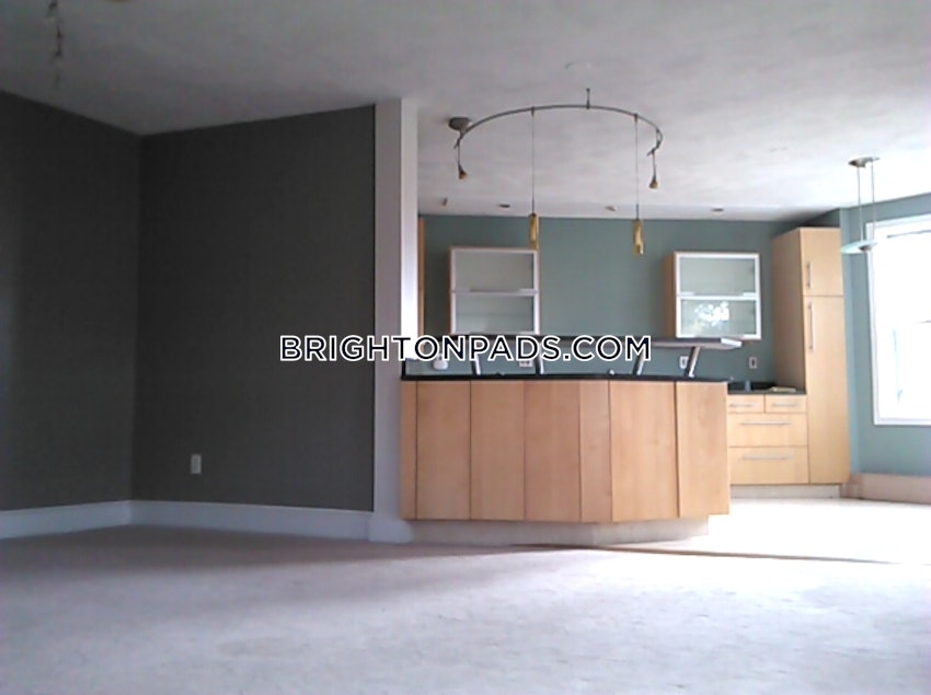 BOSTON - BRIGHTON - CLEVELAND CIRCLE - 2 Beds, 2 Baths - Image 1