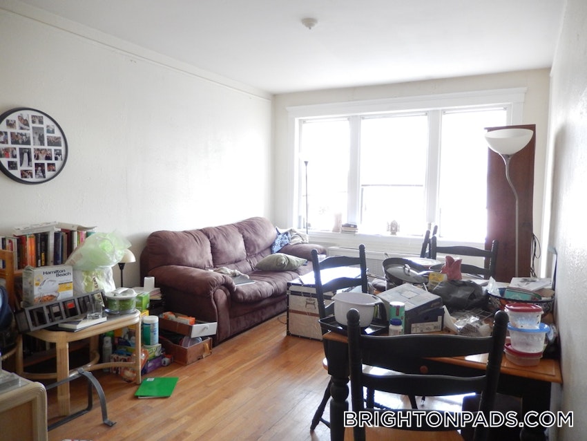 BOSTON - BRIGHTON - CLEVELAND CIRCLE - 1 Bed, 1 Bath - Image 2