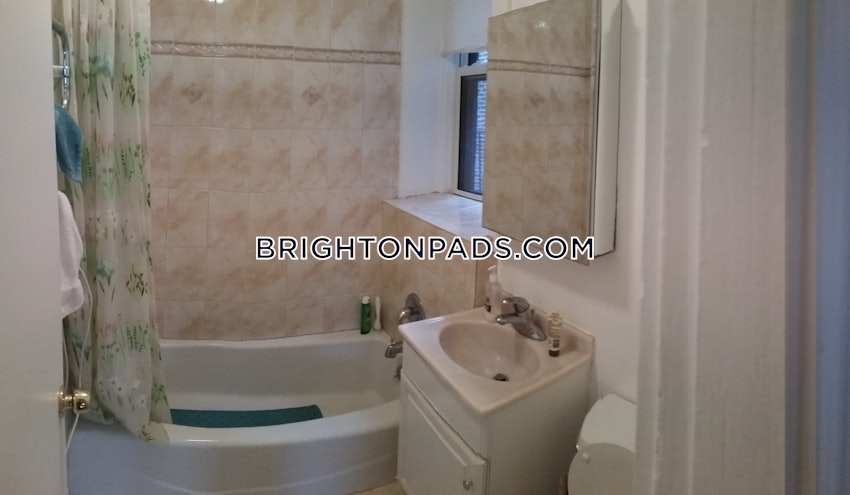 BOSTON - BRIGHTON - CLEVELAND CIRCLE - 1 Bed, 1 Bath - Image 24