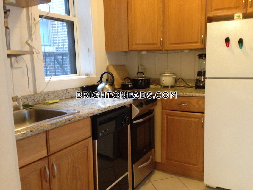 BOSTON - BRIGHTON - CLEVELAND CIRCLE - 1 Bed, 1 Bath - Image 21