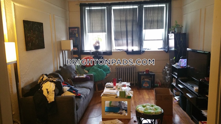 BOSTON - BRIGHTON - CLEVELAND CIRCLE - 1 Bed, 1 Bath - Image 26