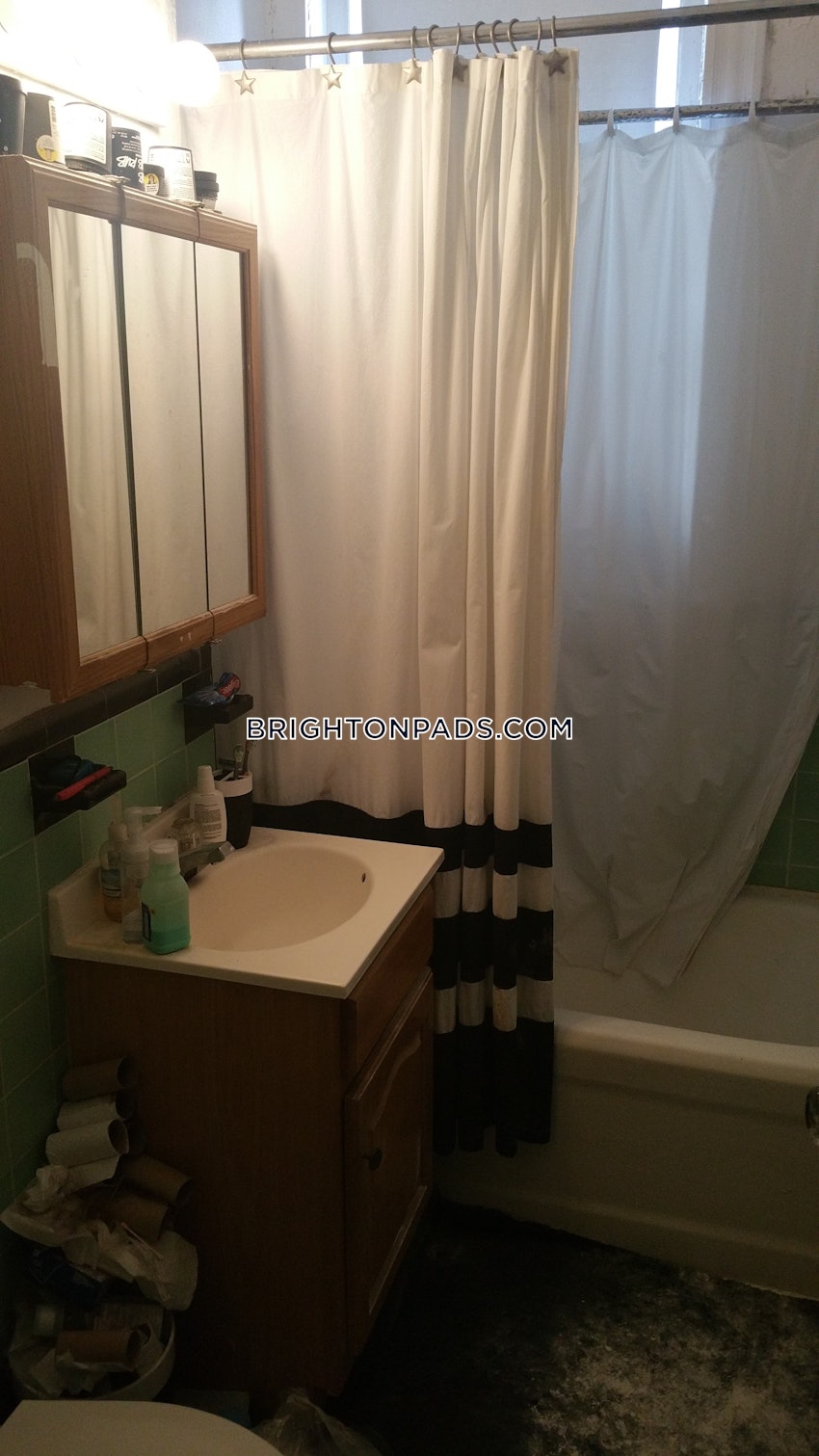 BOSTON - BRIGHTON - CLEVELAND CIRCLE - 1 Bed, 1 Bath - Image 28