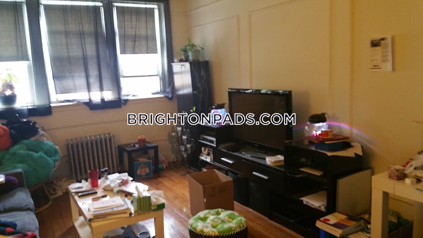 BOSTON - BRIGHTON - CLEVELAND CIRCLE - 1 Bed, 1 Bath - Image 1