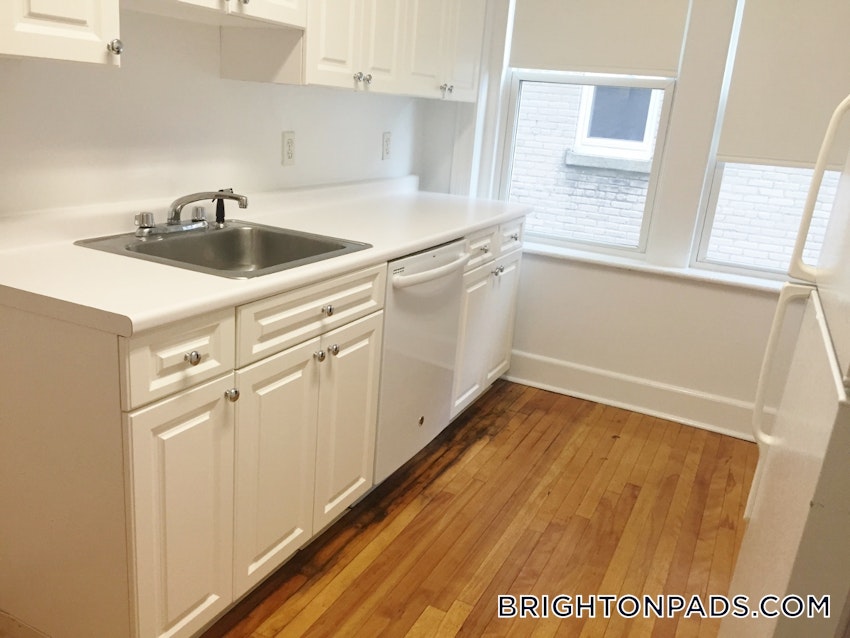 BOSTON - BRIGHTON - CLEVELAND CIRCLE - 2 Beds, 1 Bath - Image 1