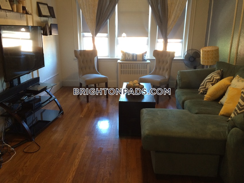 BOSTON - BRIGHTON - CLEVELAND CIRCLE - 1 Bed, 1 Bath - Image 1