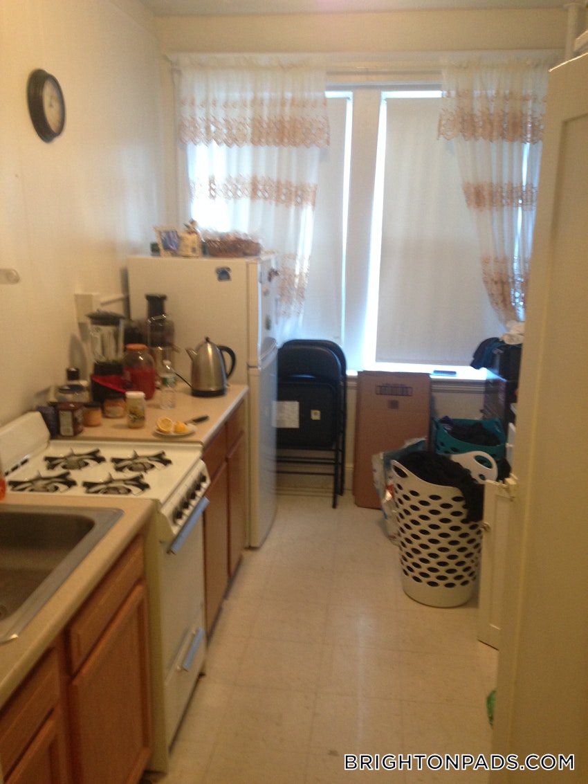 BOSTON - BRIGHTON - CLEVELAND CIRCLE - 1 Bed, 1 Bath - Image 8