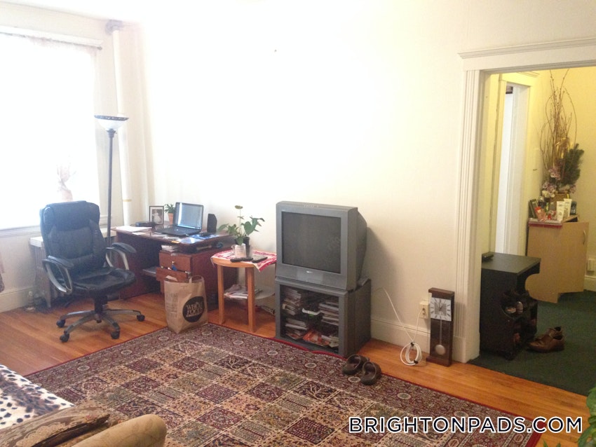 BOSTON - BRIGHTON - CLEVELAND CIRCLE - 1 Bed, 1 Bath - Image 6