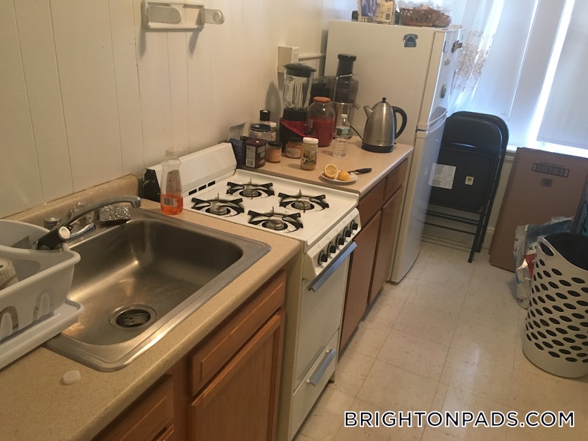 BOSTON - BRIGHTON - CLEVELAND CIRCLE - 1 Bed, 1 Bath - Image 5