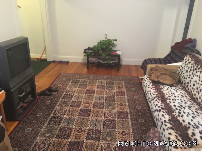 BOSTON - BRIGHTON - CLEVELAND CIRCLE - 1 Bed, 1 Bath - Image 4