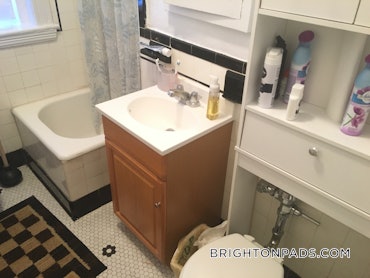 Cleveland Circle - Brighton, Boston, MA - 1 Bed, 1 Bath - $2,375 - ID#41248