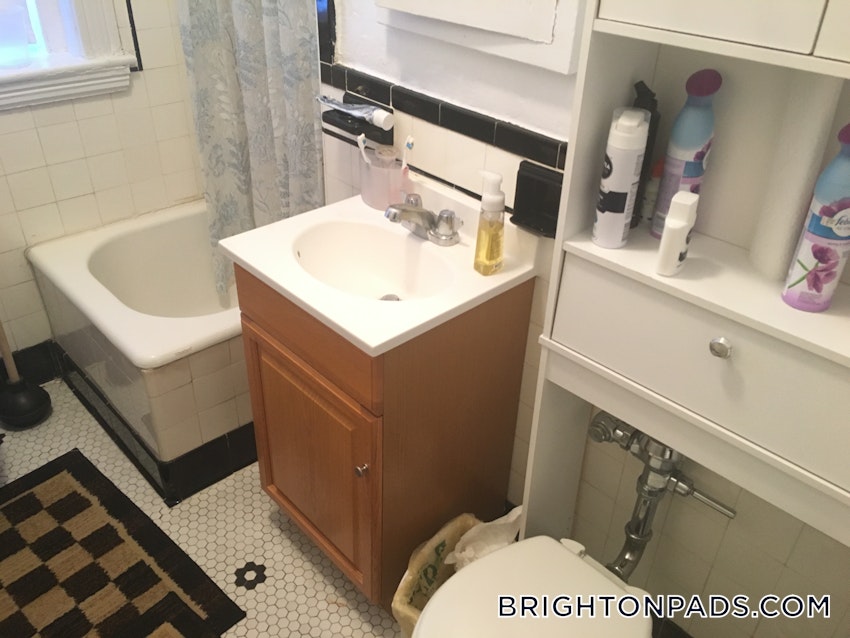 BOSTON - BRIGHTON - CLEVELAND CIRCLE - 1 Bed, 1 Bath - Image 1