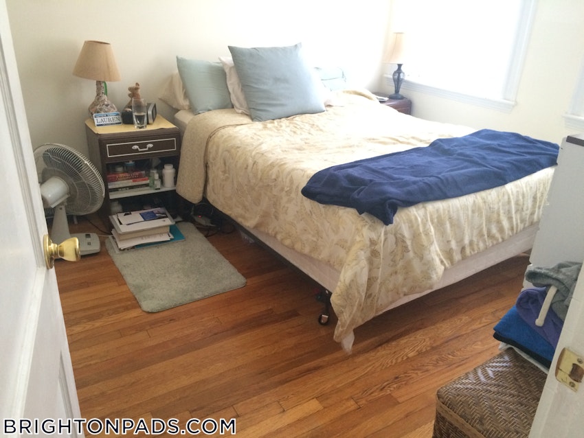 BOSTON - BRIGHTON- WASHINGTON ST./ ALLSTON ST. - 1 Bed, 1 Bath - Image 9