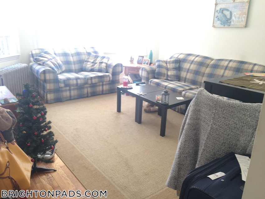 BOSTON - BRIGHTON- WASHINGTON ST./ ALLSTON ST. - 1 Bed, 1 Bath - Image 8