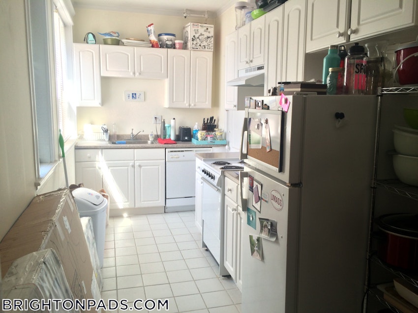 BOSTON - BRIGHTON- WASHINGTON ST./ ALLSTON ST. - 1 Bed, 1 Bath - Image 7