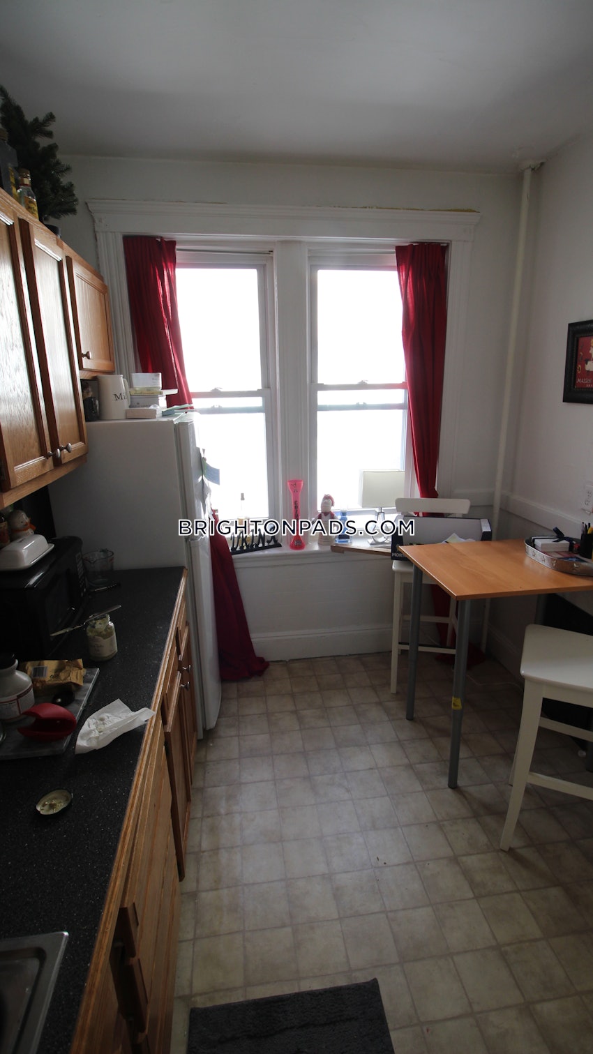 BOSTON - BRIGHTON - CLEVELAND CIRCLE - 1 Bed, 1 Bath - Image 7