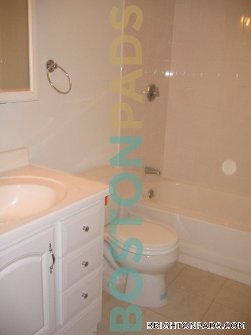 BOSTON - BRIGHTON - CLEVELAND CIRCLE - 3 Beds, 2 Baths - Image 5