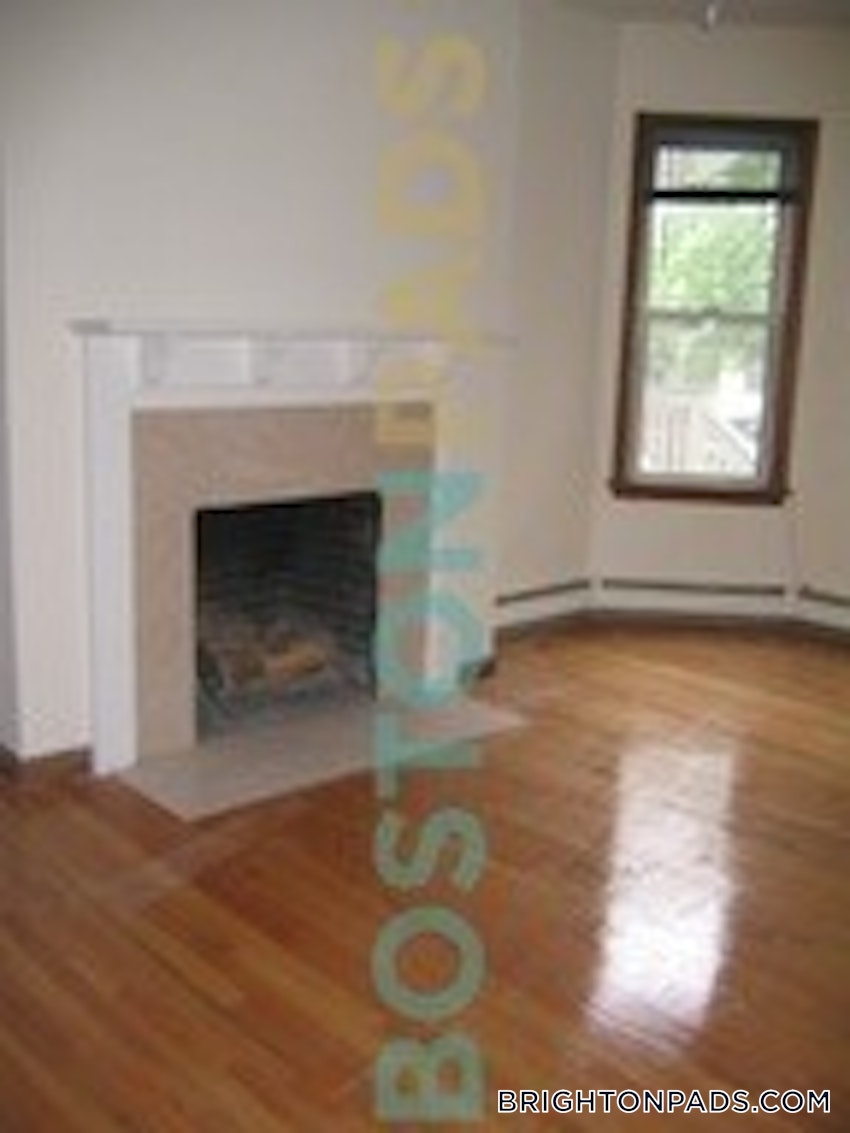 BOSTON - BRIGHTON - CLEVELAND CIRCLE - 3 Beds, 2 Baths - Image 6