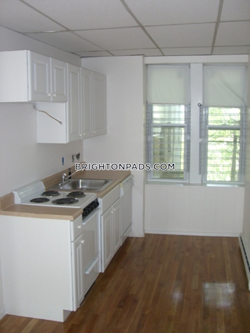 BOSTON - BRIGHTON - CLEVELAND CIRCLE - 1 Bed, 1 Bath - Image 2