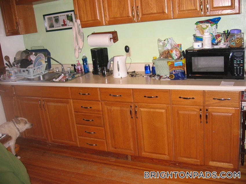 BOSTON - BRIGHTON - OAK SQUARE - 3 Beds, 1 Bath - Image 9