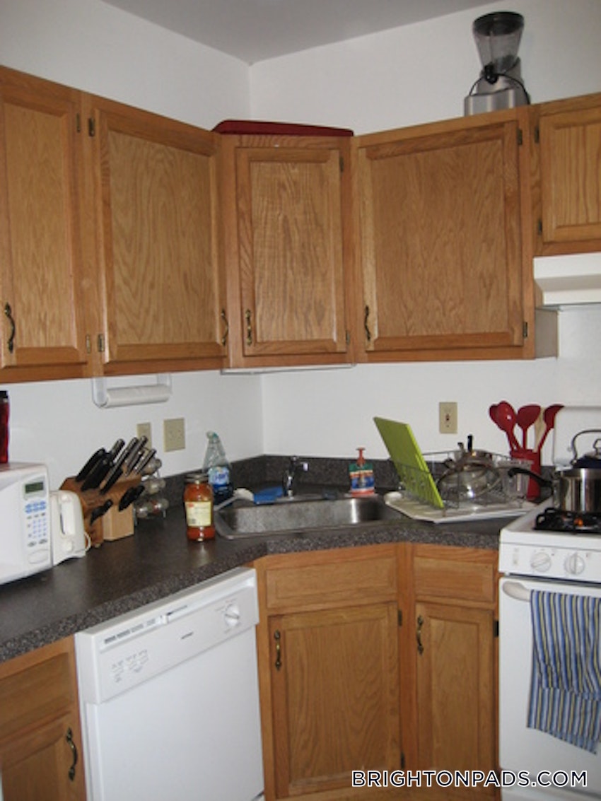 BOSTON - BRIGHTON- WASHINGTON ST./ ALLSTON ST. - 4 Beds, 2 Baths - Image 12