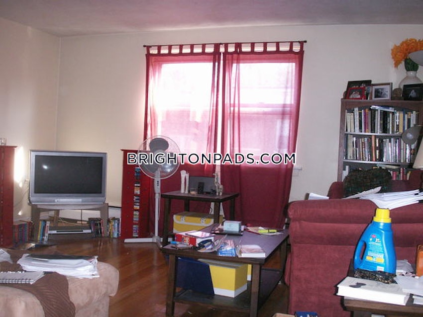 BOSTON - BRIGHTON- WASHINGTON ST./ ALLSTON ST. - 1 Bed, 1 Bath - Image 9