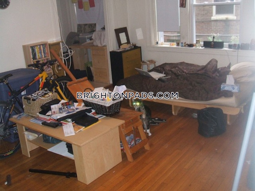 BOSTON - BRIGHTON- WASHINGTON ST./ ALLSTON ST. - Studio , 1 Bath - Image 12