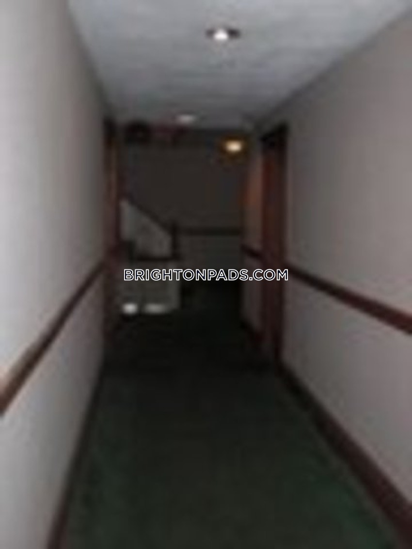 BOSTON - ALLSTON/BRIGHTON BORDER - 1 Bed, 1 Bath - Image 6