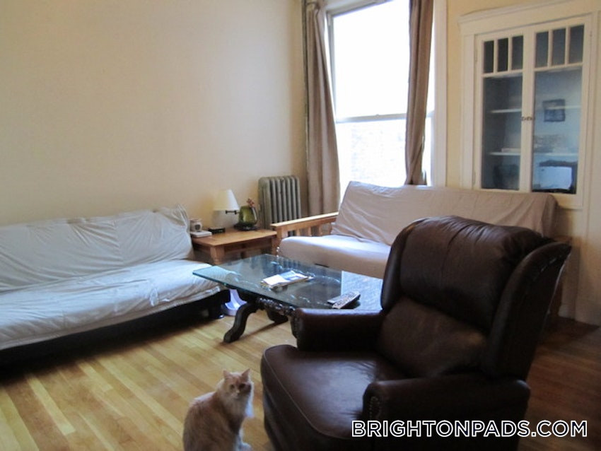 BOSTON - BRIGHTON- WASHINGTON ST./ ALLSTON ST. - 4 Beds, 2 Baths - Image 7