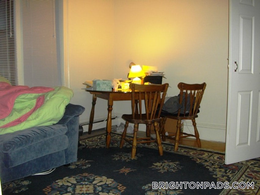 BOSTON - BRIGHTON- WASHINGTON ST./ ALLSTON ST. - 2 Beds, 1 Bath - Image 9