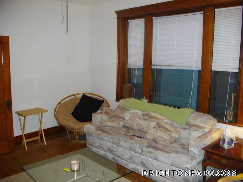 BOSTON - BRIGHTON- WASHINGTON ST./ ALLSTON ST. - 3 Beds, 1 Bath - Image 9