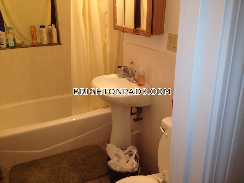 BOSTON - BRIGHTON- WASHINGTON ST./ ALLSTON ST. - 4 Beds, 2 Baths - Image 22